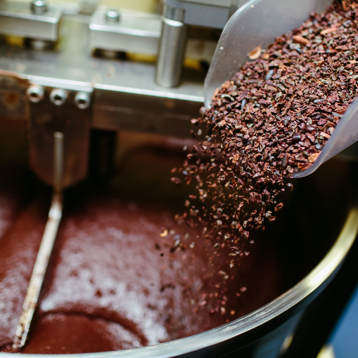 Chocolate bean to bar vs. industrial: ¿cuál es la diferencia?